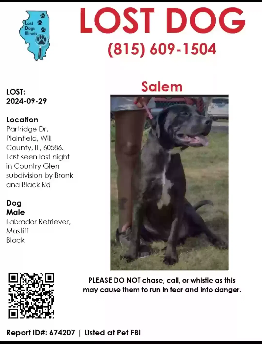 Lost dog in Plainfield, IL, 60586