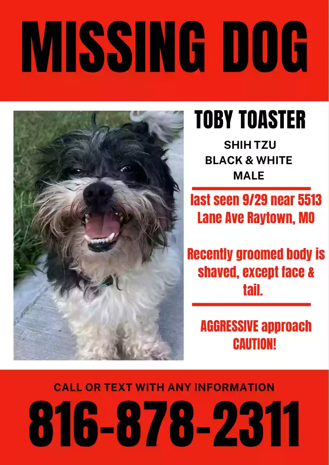 Lost dog in Kansas City, MO, 64133
