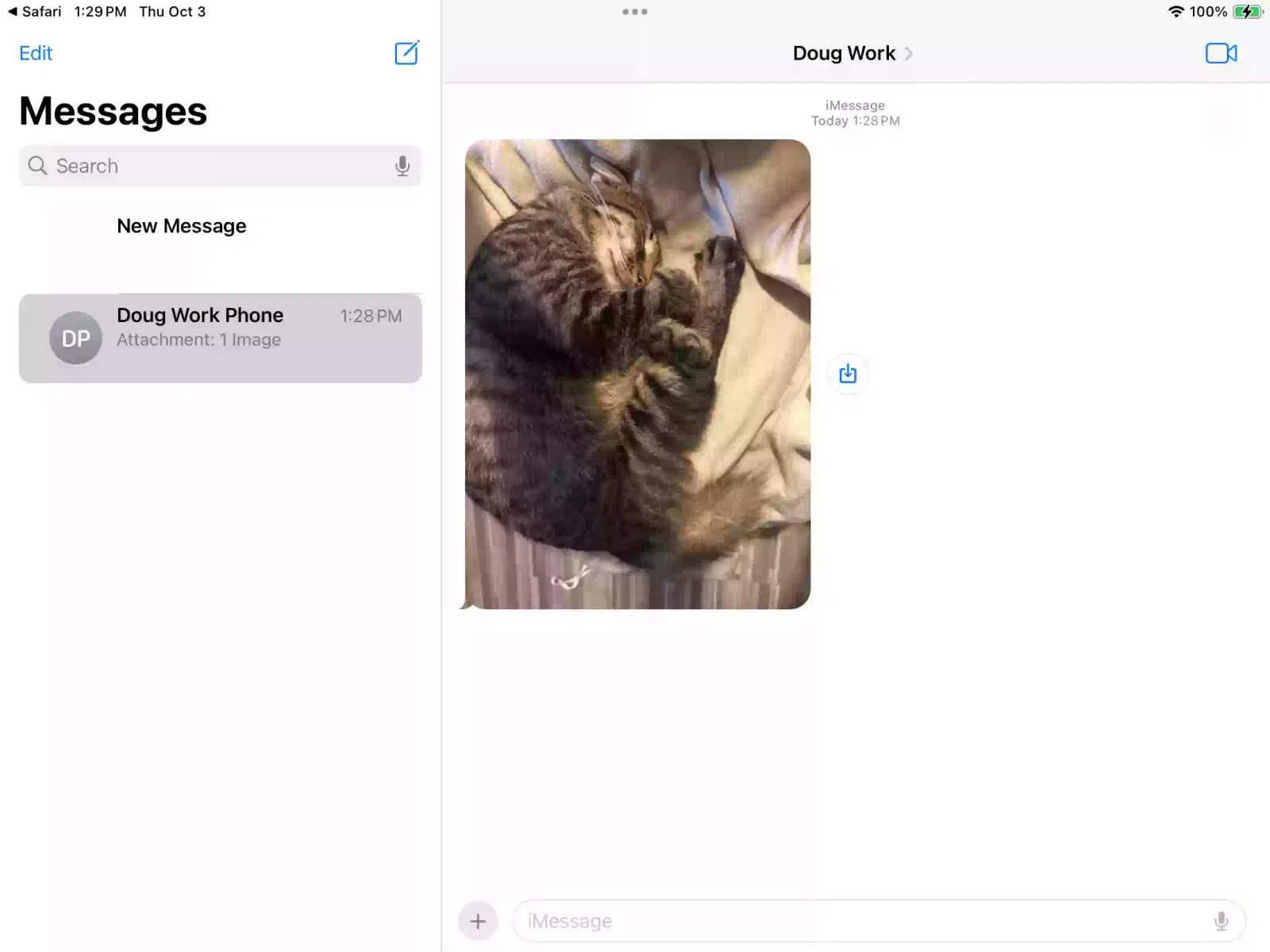 Lost cat in Walnut Ridge, AR, 72476