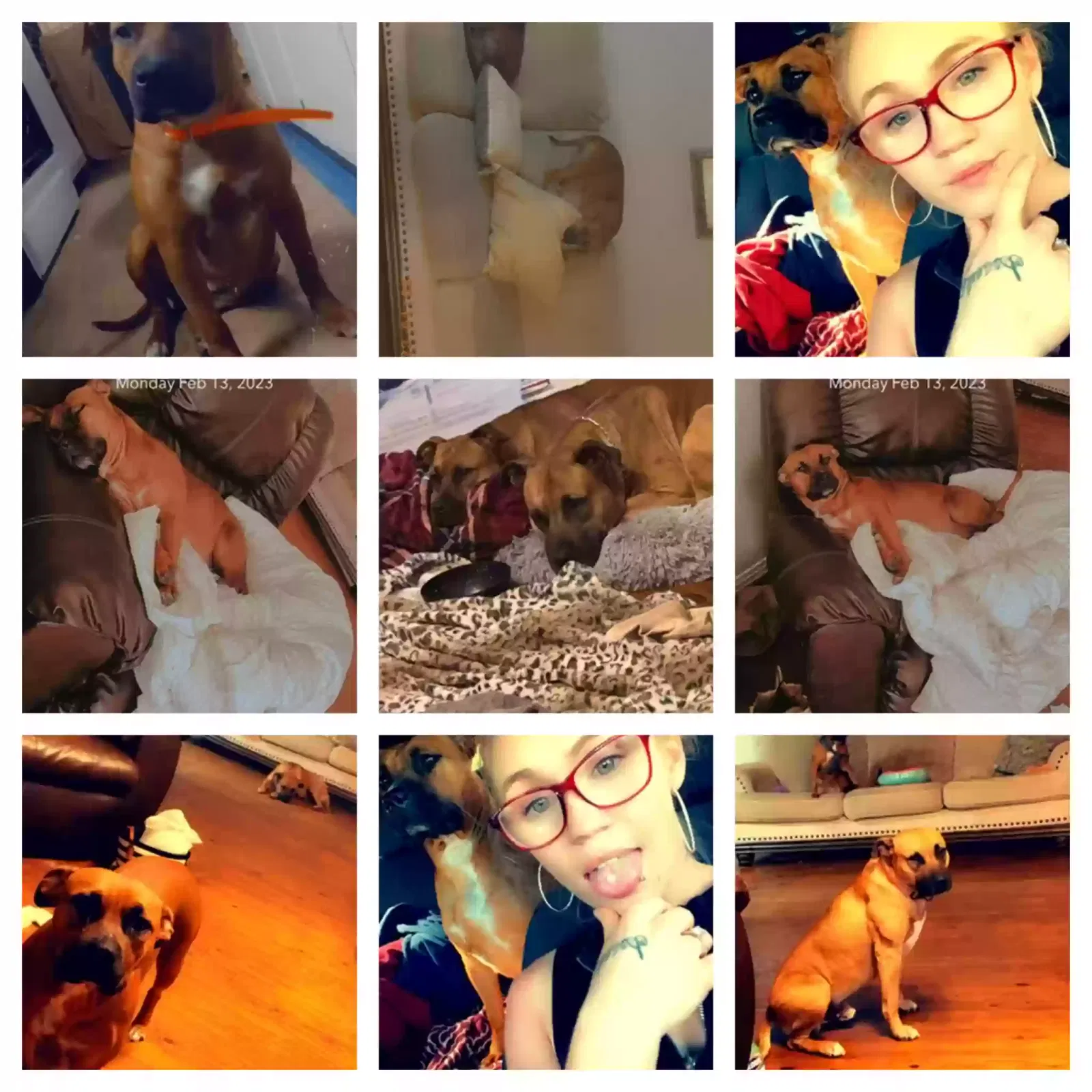 Lost dog in Leakesville, MS, 39451