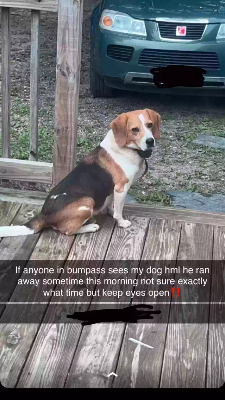 Lost dog in Bumpass, VA, 23024