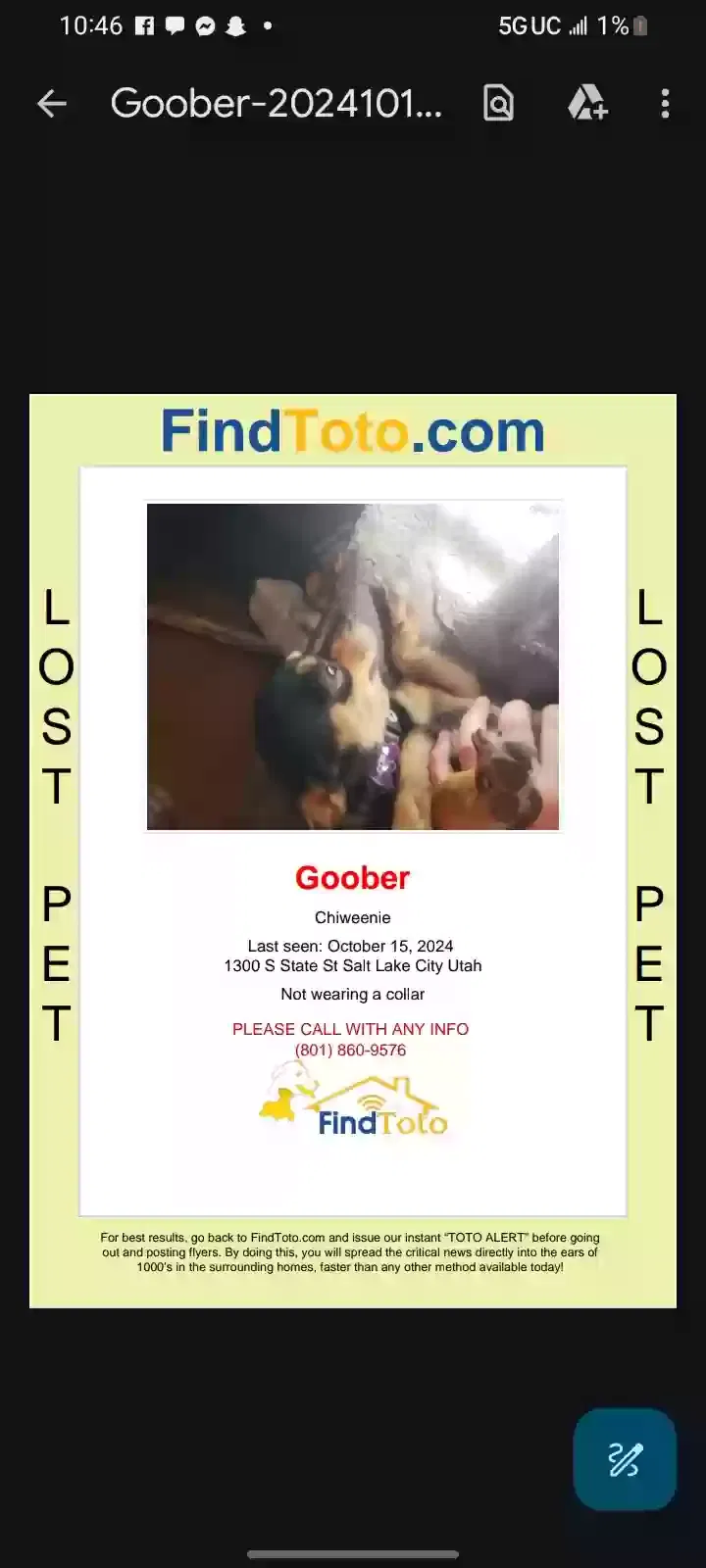 Lost dog in Salt Lake City, UT, 84111