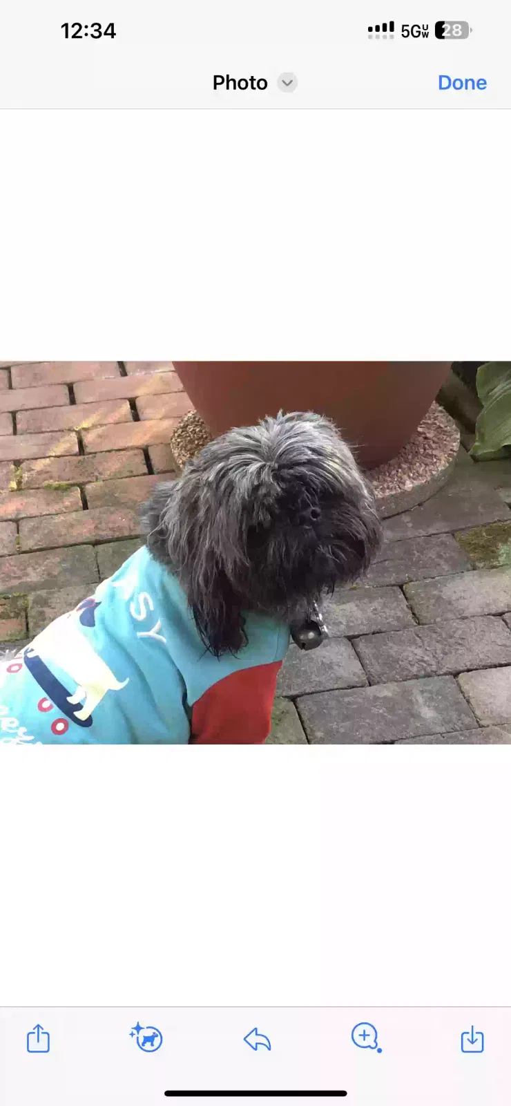 Lost dog in Frederick, MD, 21703