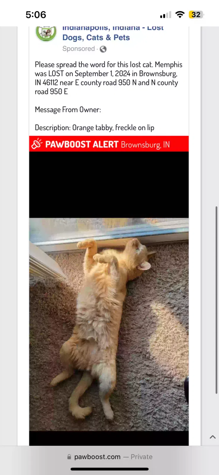 Lost cat in Brownsburg, IN, 46112