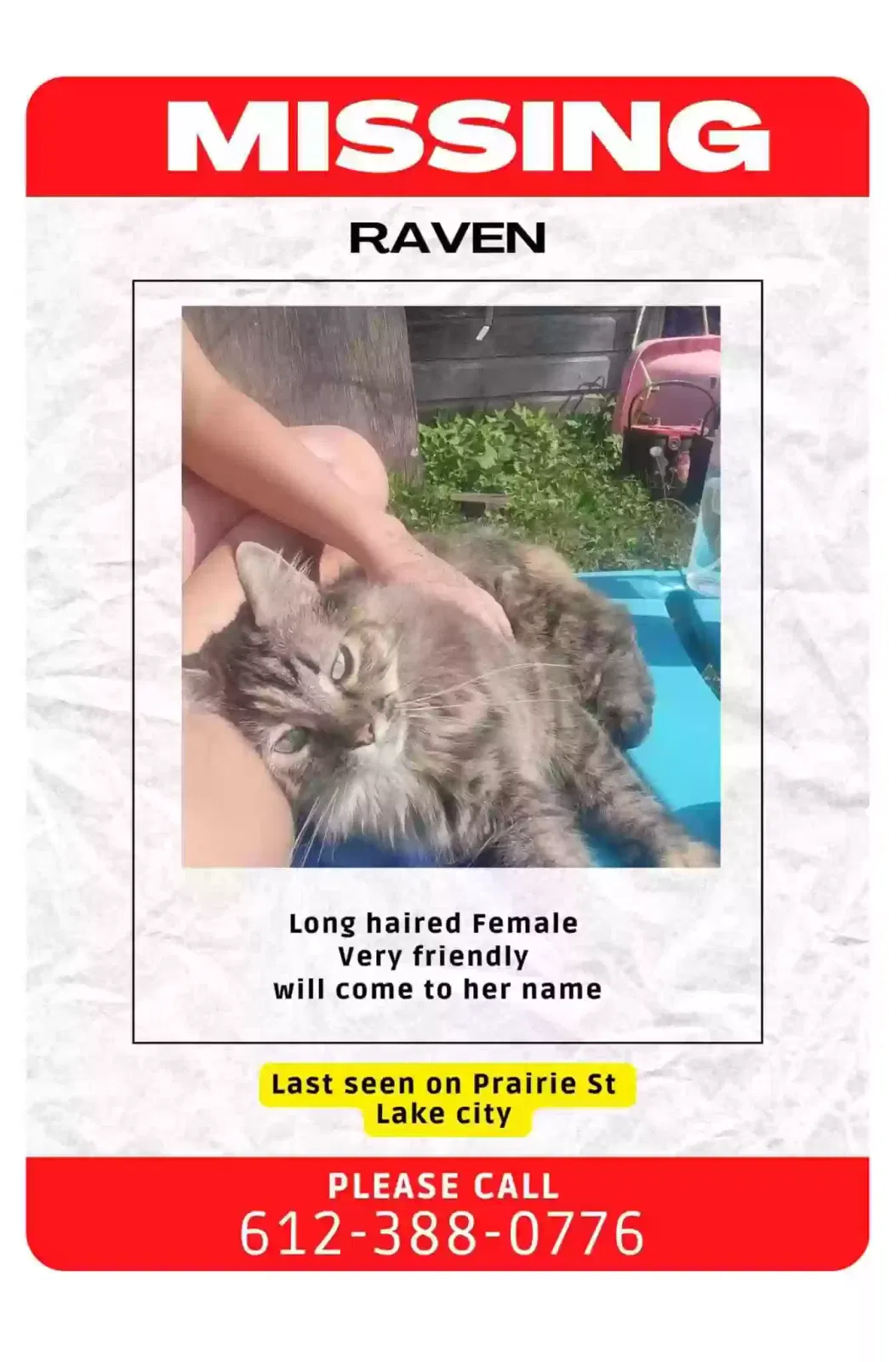 Lost cat in Lake City, MN, 55041