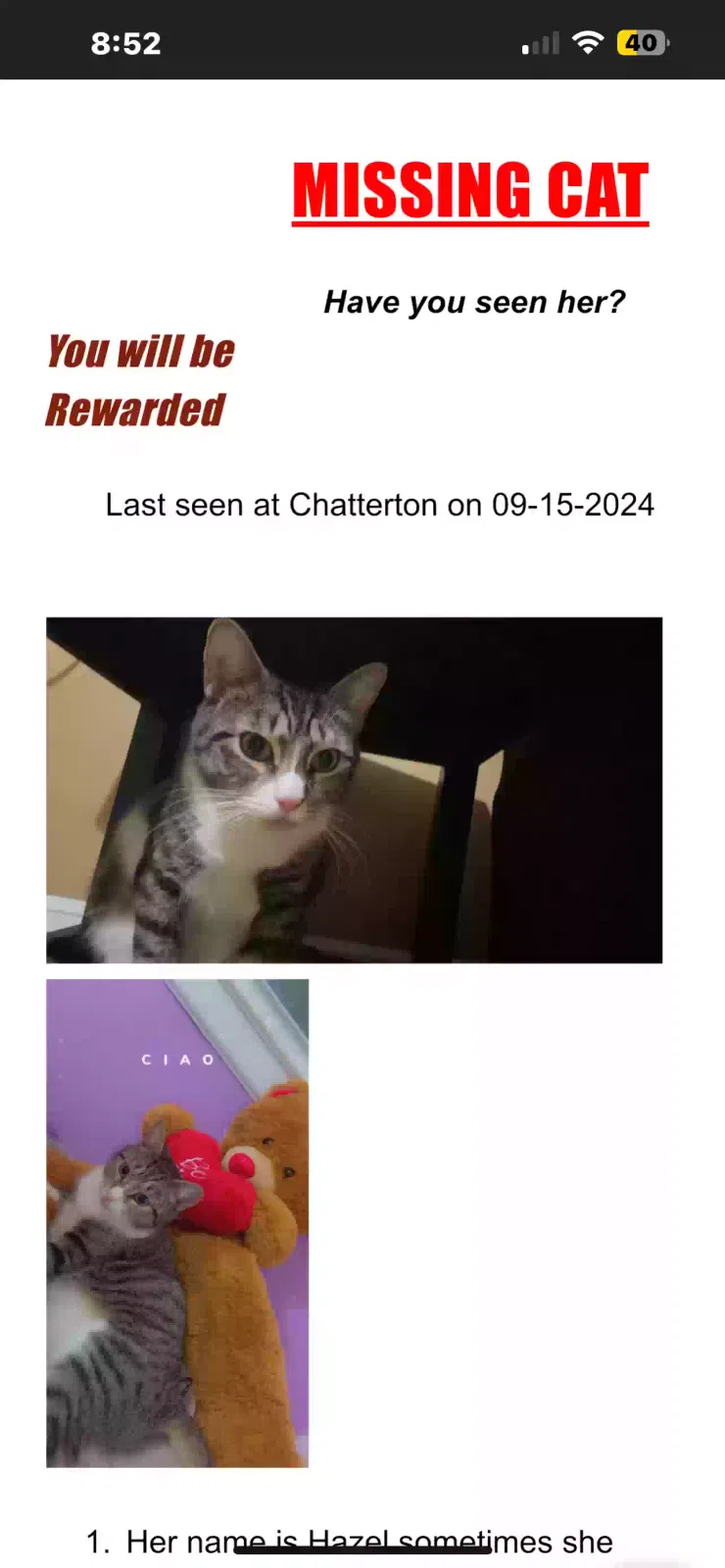Lost cat in Bronx, NY, 10472
