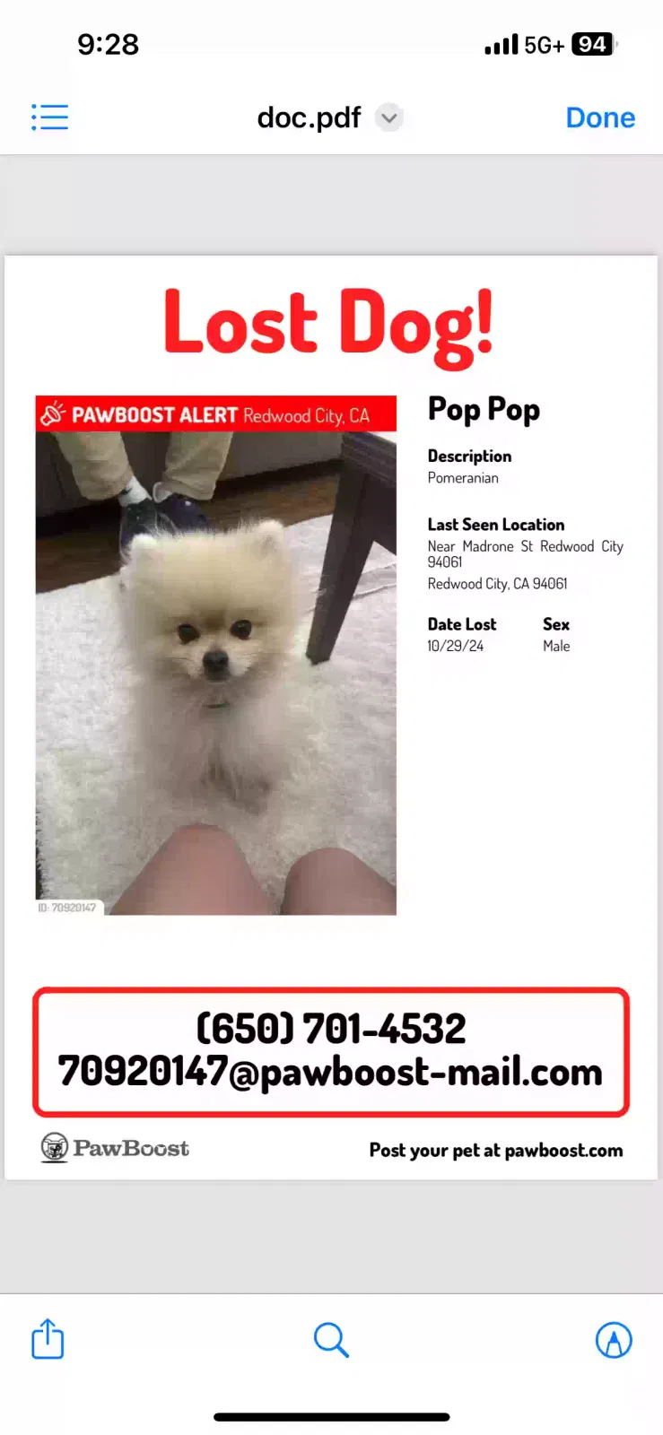 Lost dog in Redwood City, CA, 94061