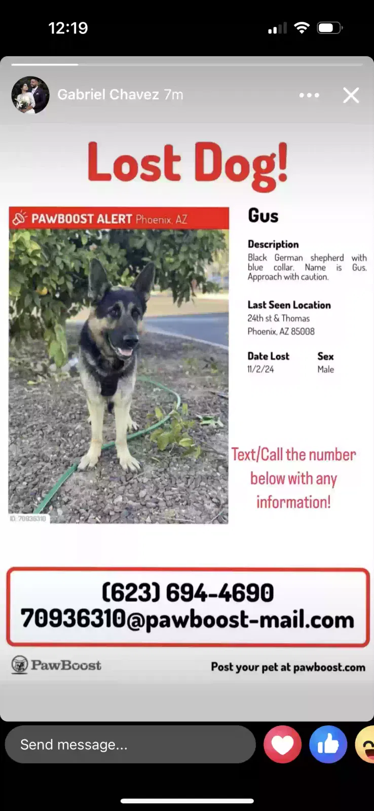 Lost dog in Phoenix, AZ, 85006