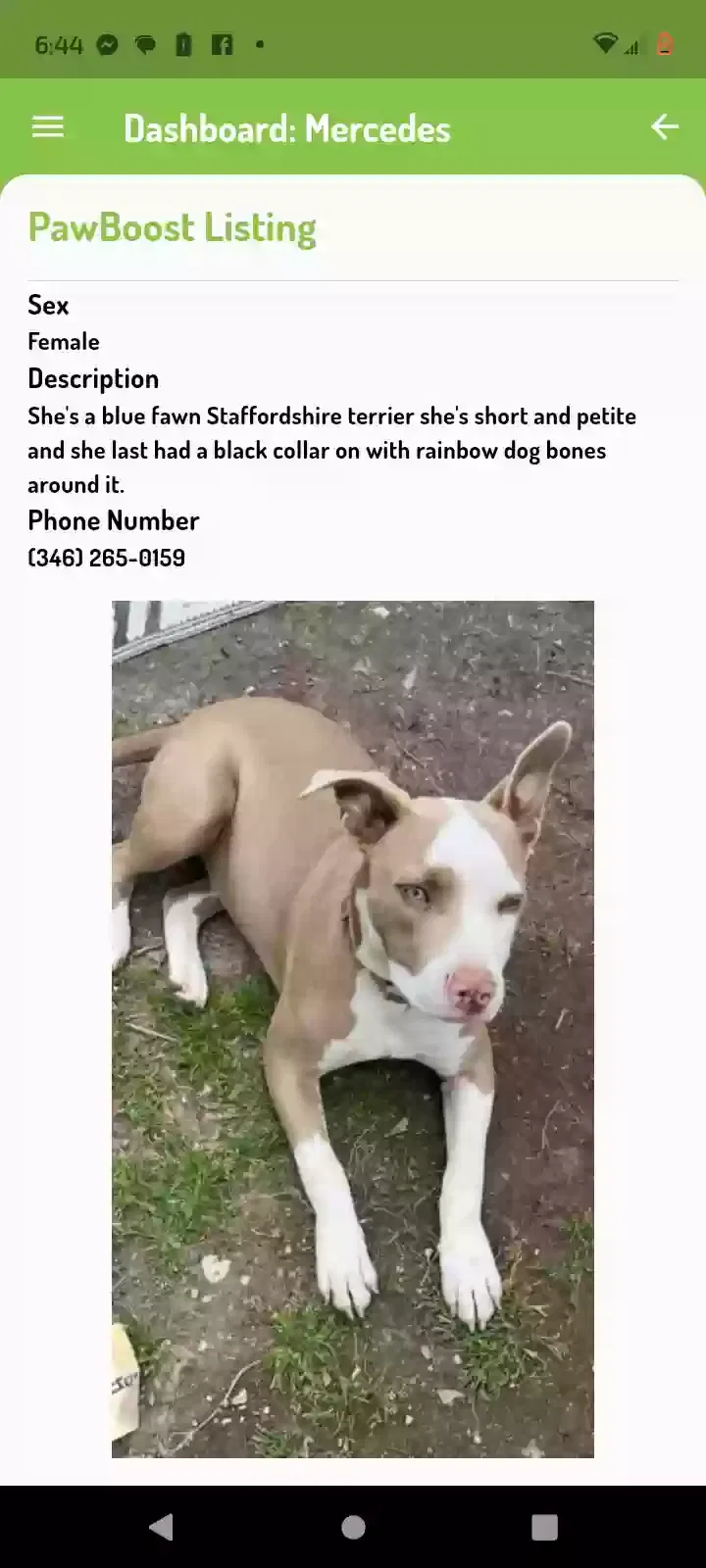 Lost dog in Houston, TX, 77009
