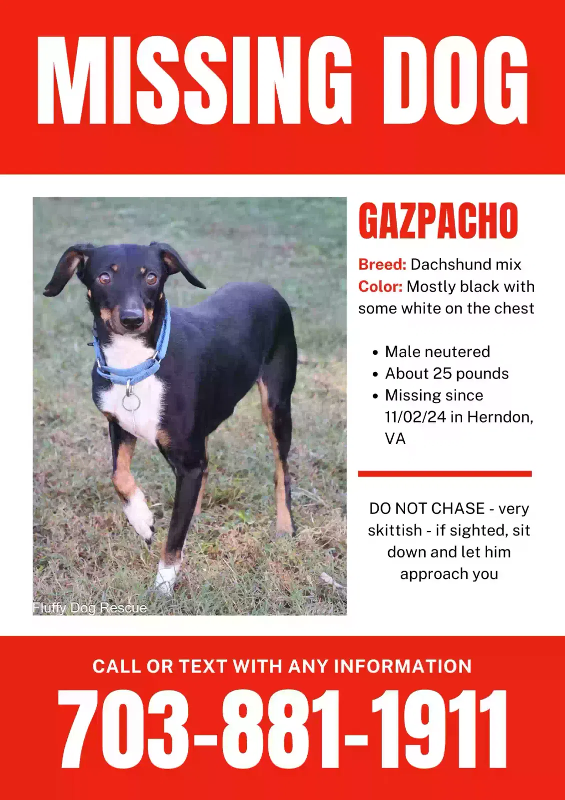 Lost dog in Herndon, VA, 20170