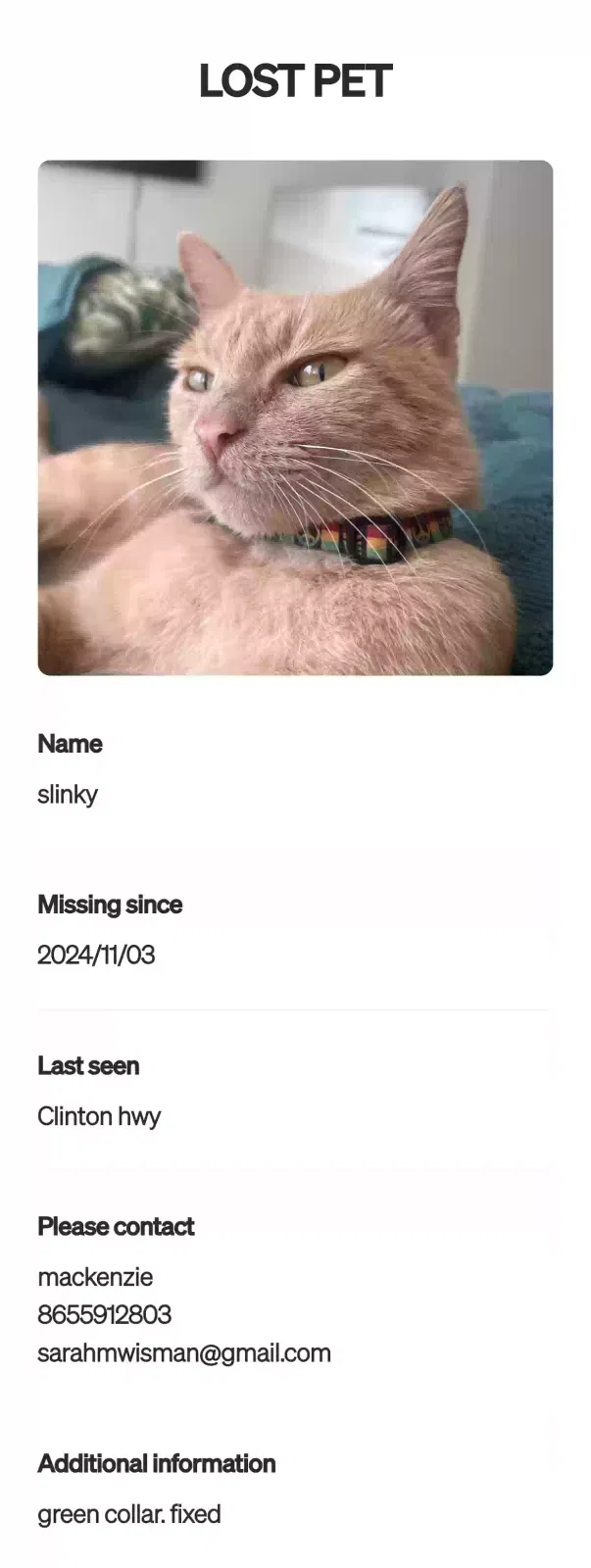 Lost cat in Knoxville, TN, 37912