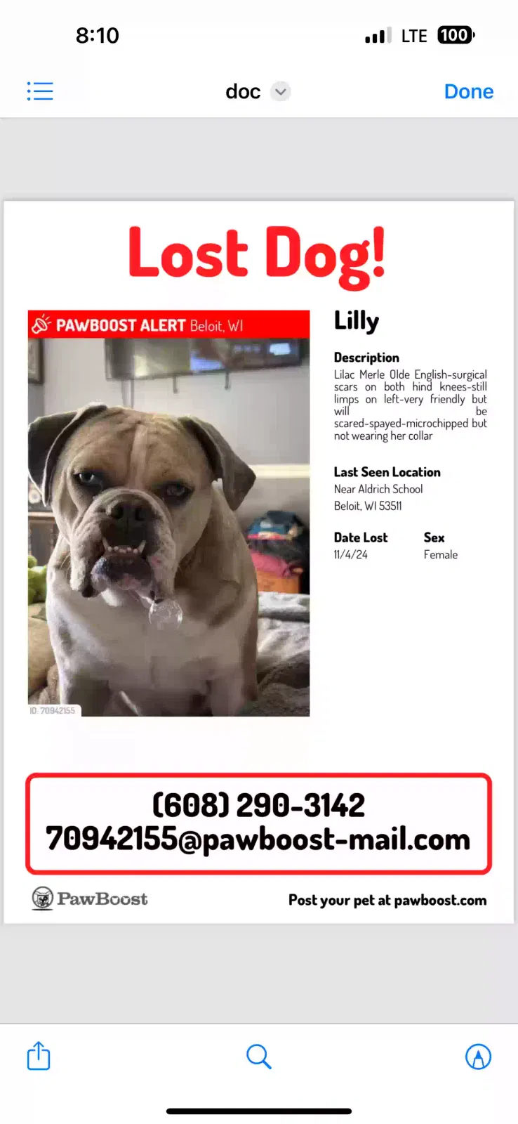Lost dog in Beloit, WI, 53511