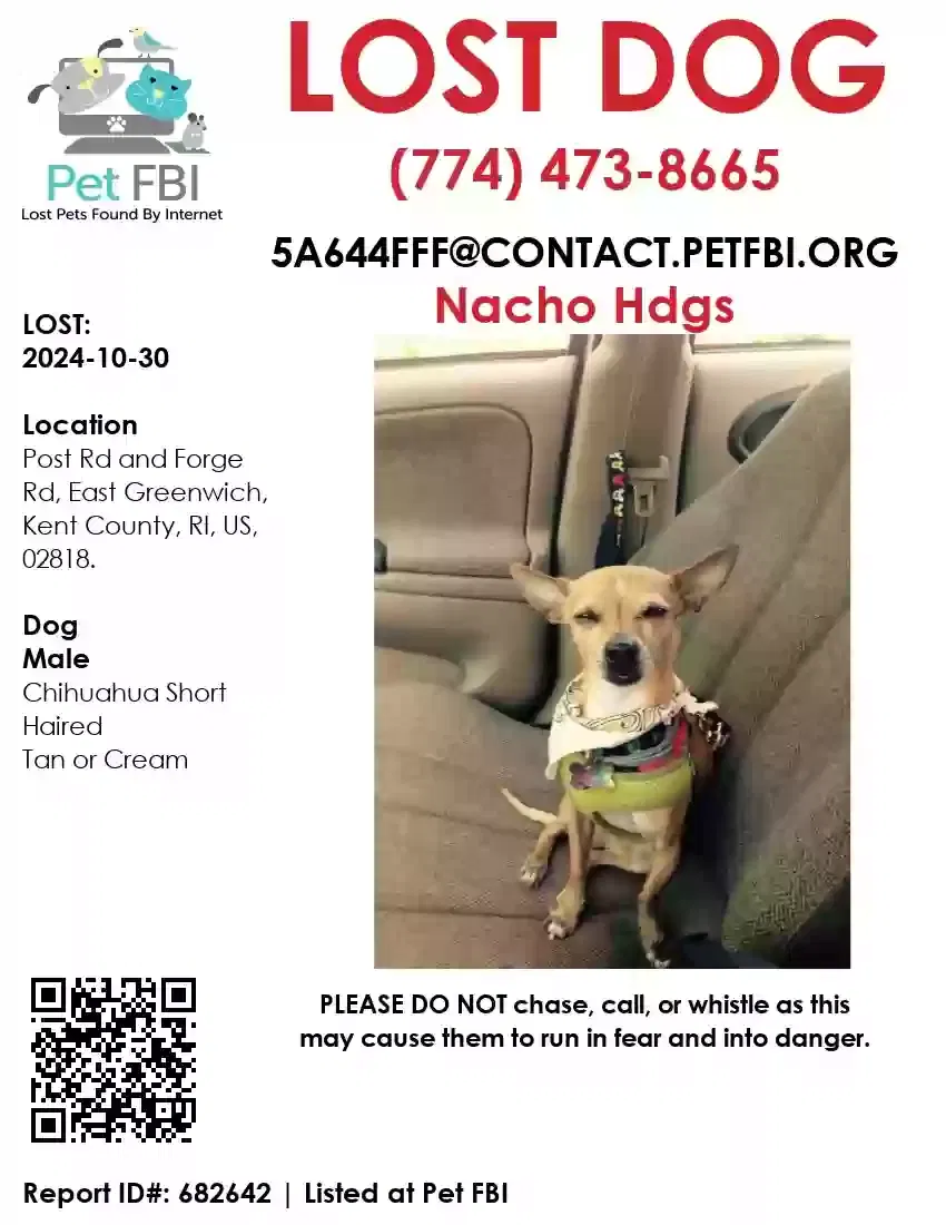 Lost dog in East Greenwich, RI, 2818