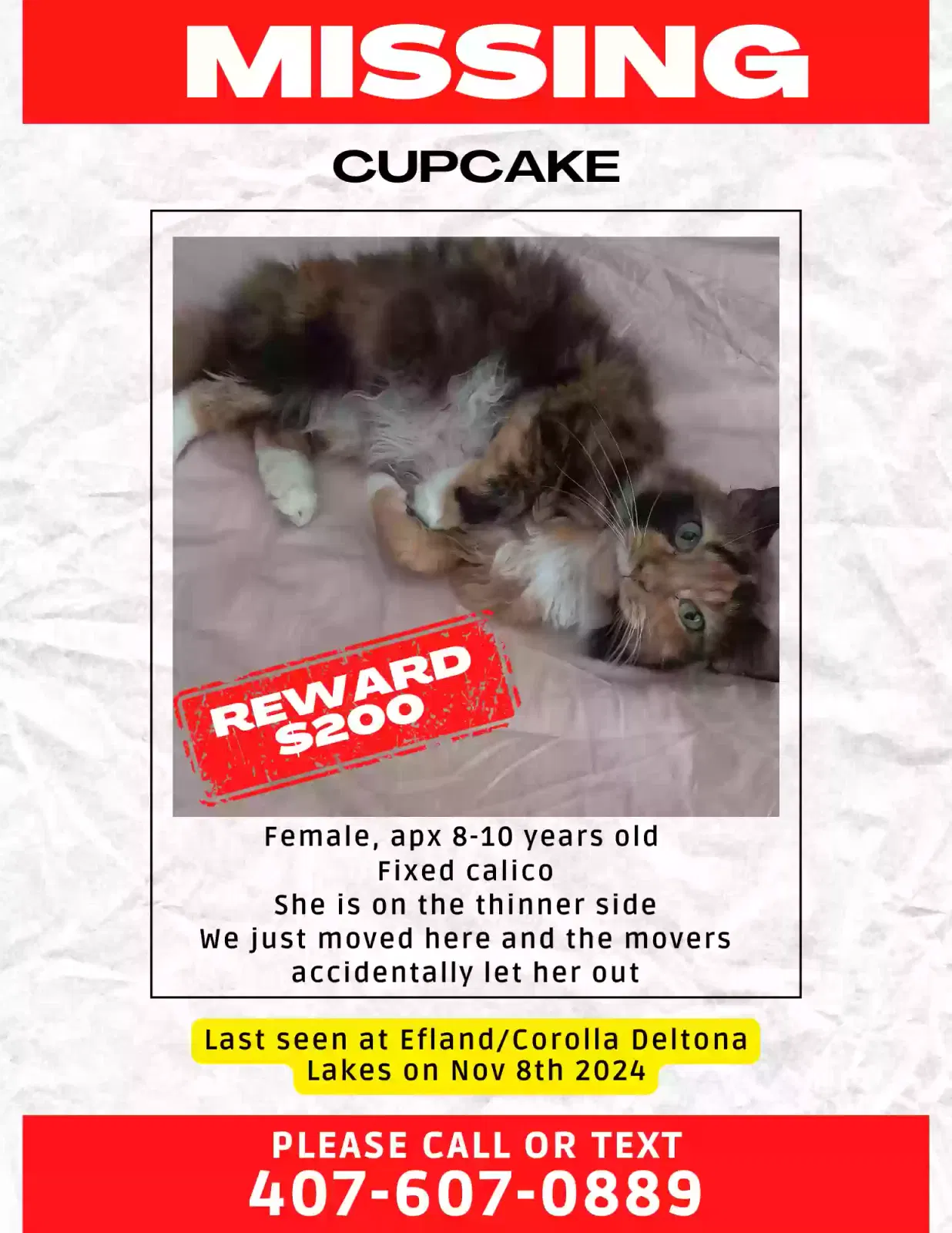 Lost cat in Deltona, FL, 32738