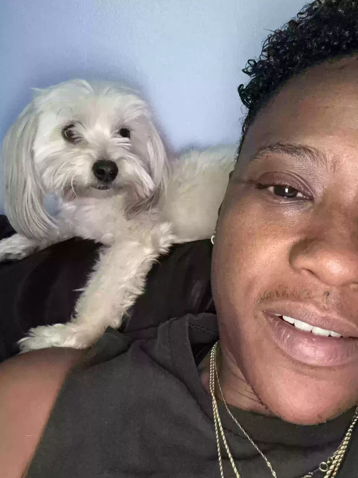 Lost dog in Fort Lauderdale, FL, 33313