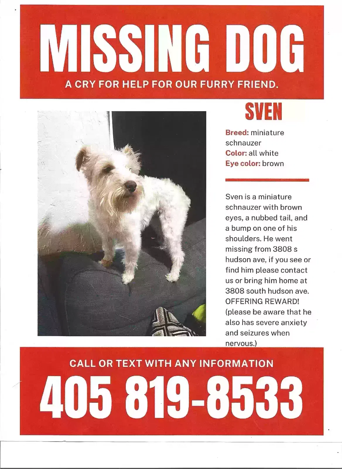 Lost dog in Oklahoma City, OK, 73109