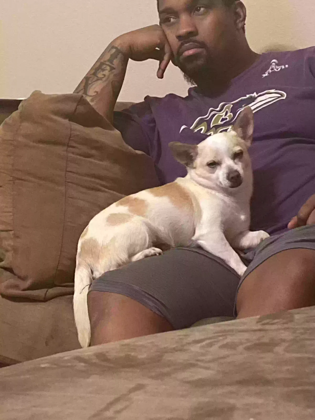 Lost dog in Houston, TX, 77079