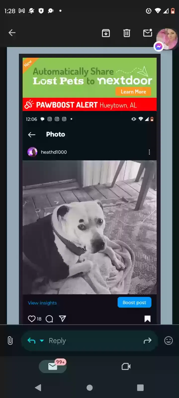 Lost dog in Bessemer, AL, 35023