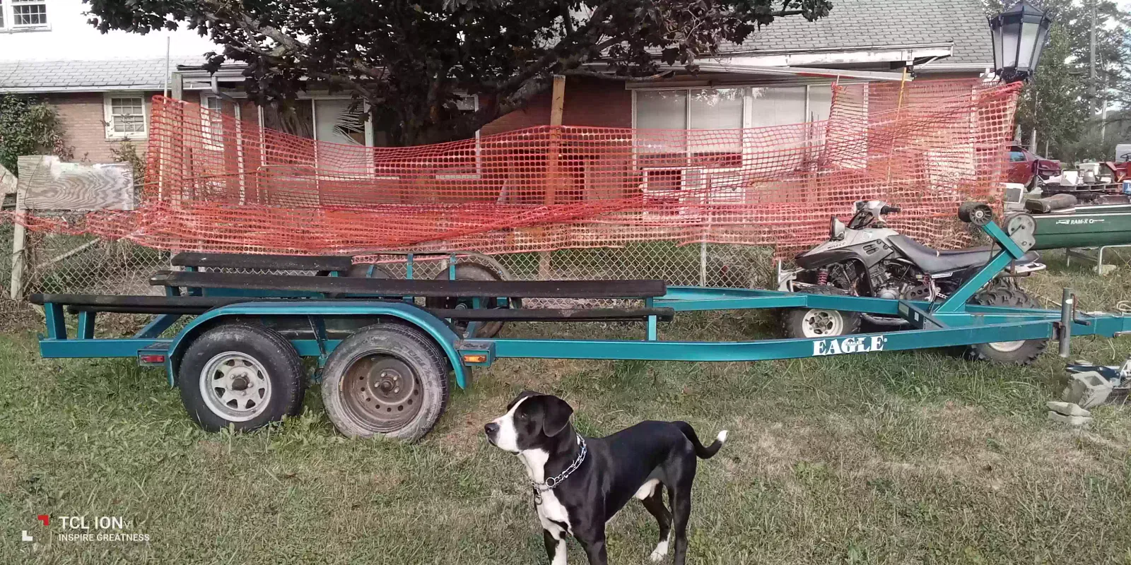 Lost dog in Jefferson, OH, 44047