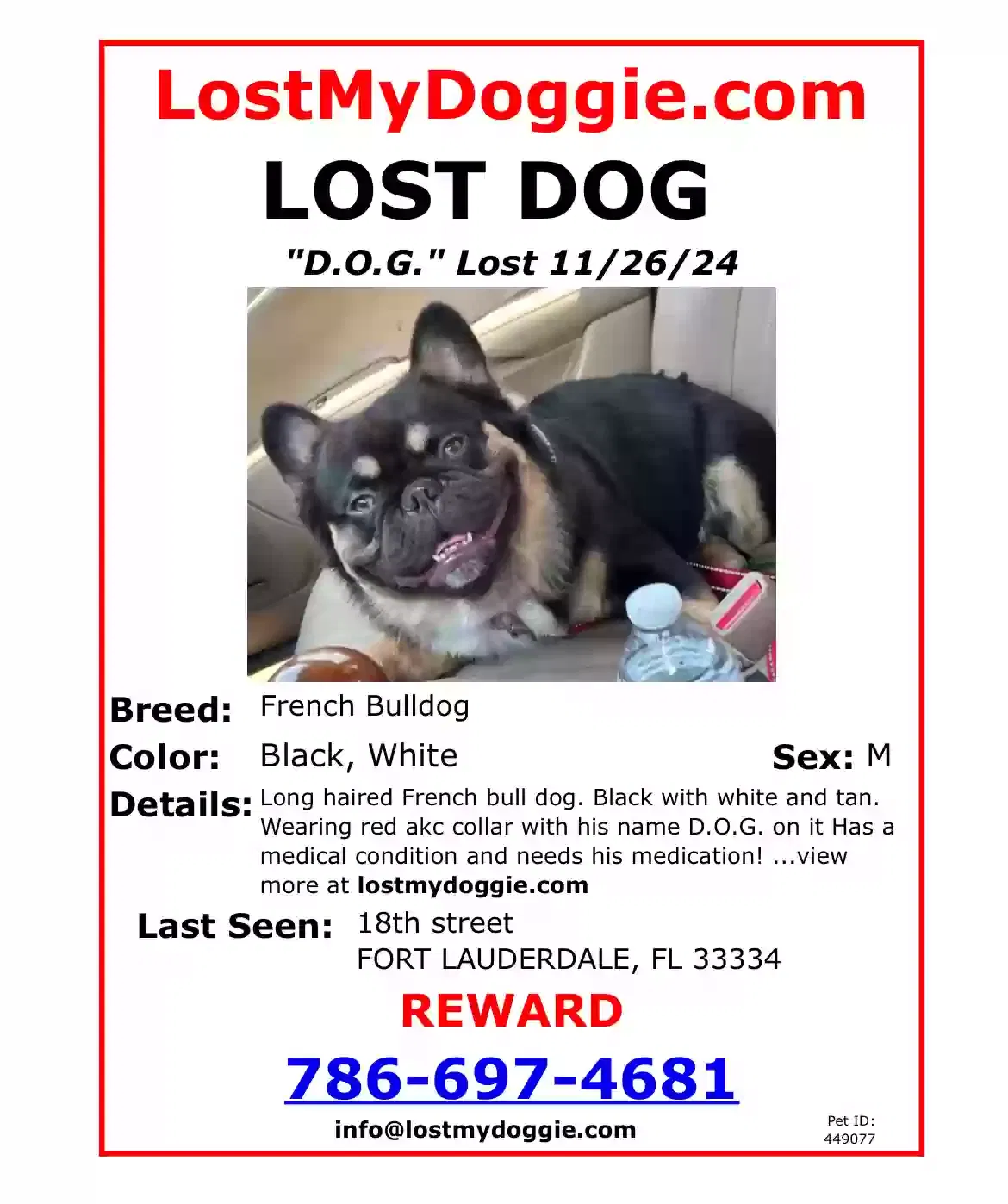 Lost dog in Fort Lauderdale, FL, 33334