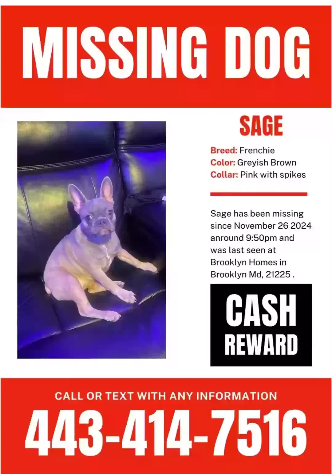 Lost dog in Pasadena, MD, 21122
