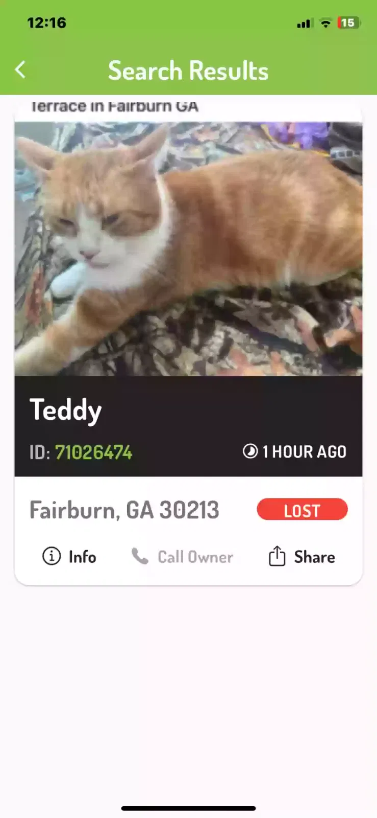 Lost cat in Fairburn, GA, 30213