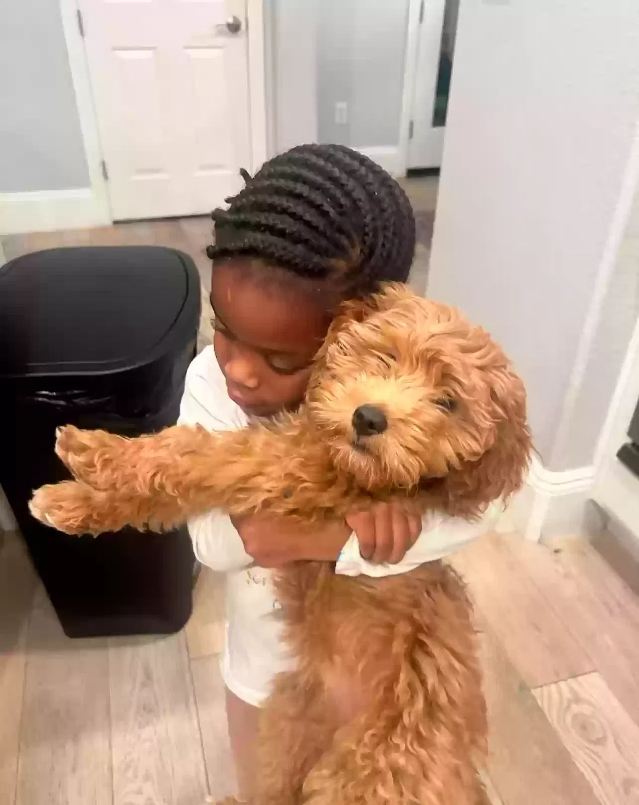 Lost dog in Las Vegas, NV, 89135