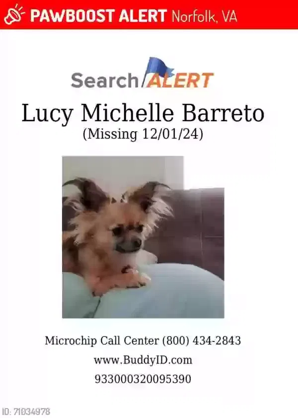 Lost dog in Norfolk, VA, 23503