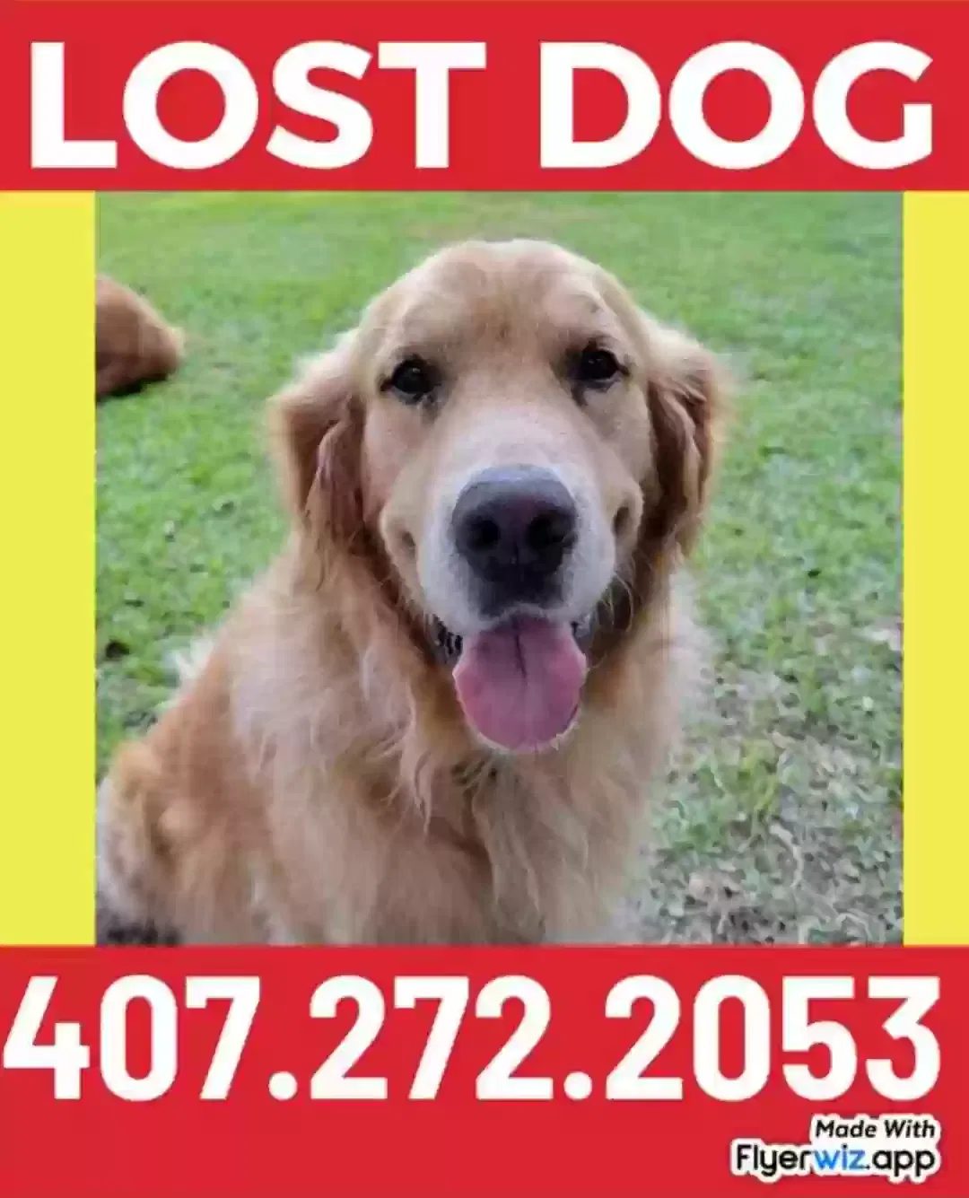 Lost dog in Quincy, FL, 32352
