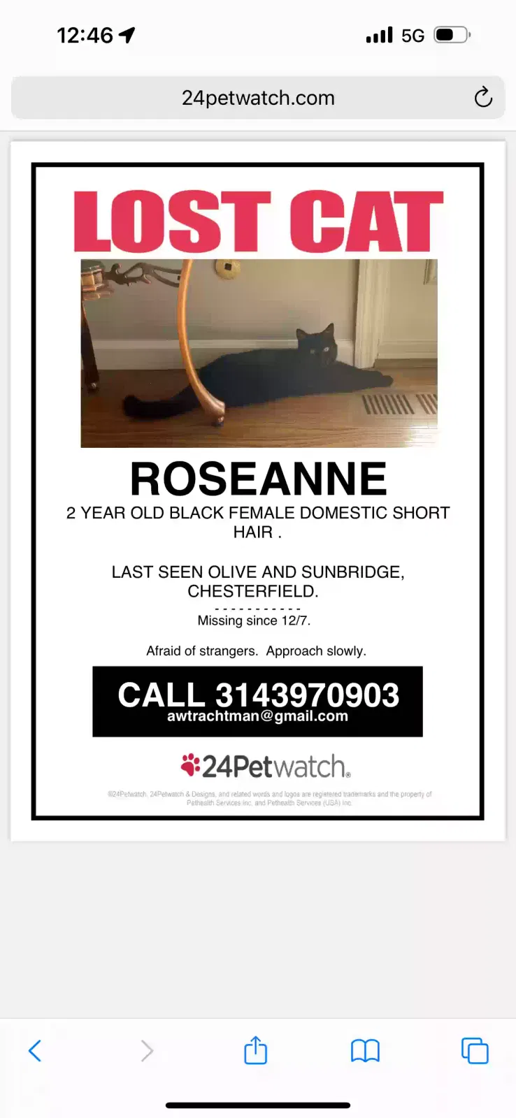 Lost cat in Chesterfield, MO, 63017