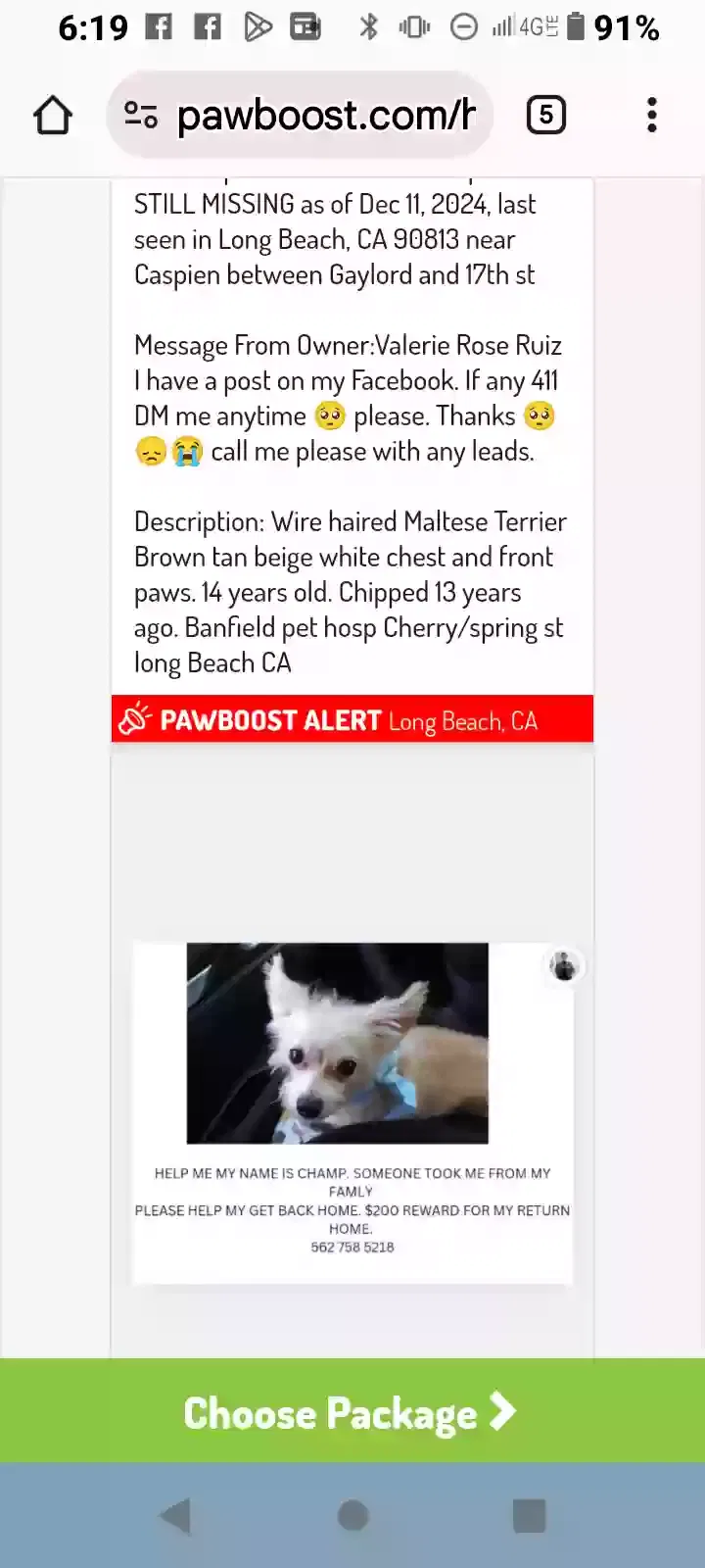 Lost dog in Long Beach, CA, 90813