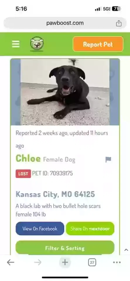 Lost dog in Kansas City, MO, 64123