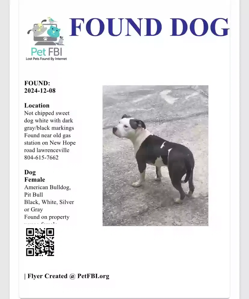 Found dog in Lawrenceville, GA, 30045