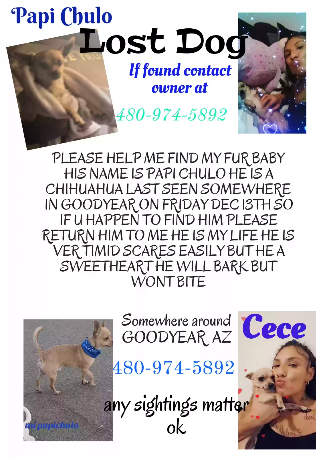 Lost dog in Phoenix, AZ, 85043