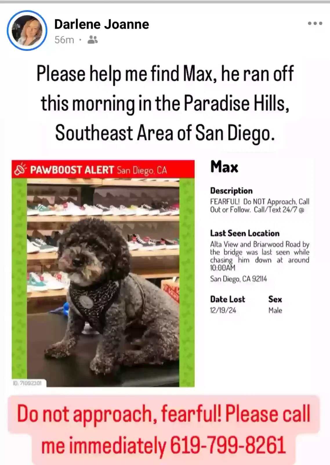Lost dog in San Diego, CA, 92139