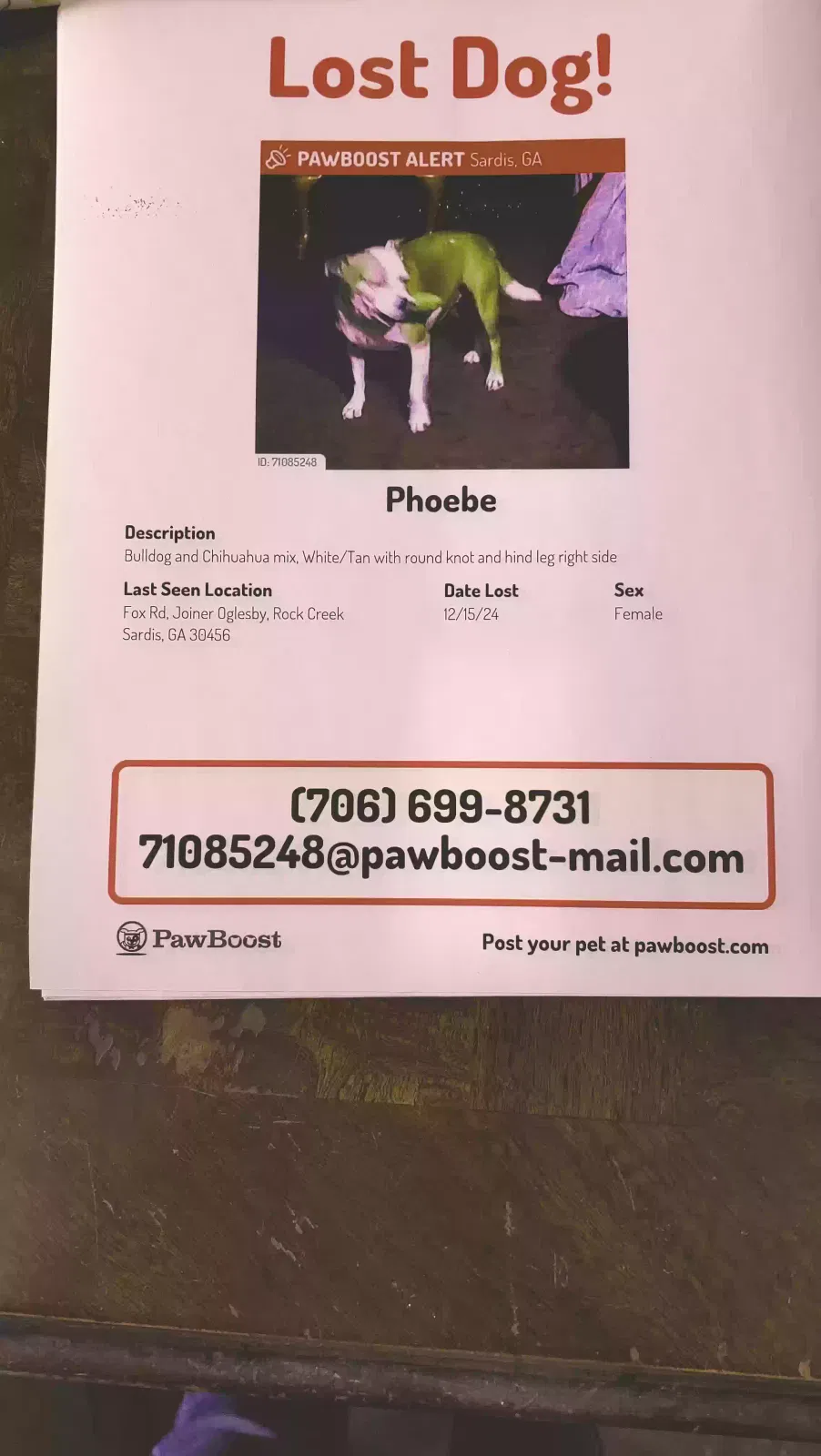 Lost dog in Sardis, GA, 30456