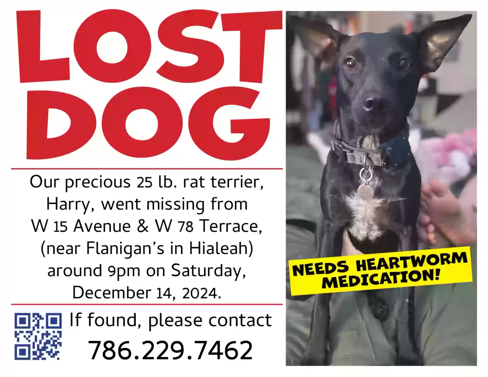 Lost dog in Hialeah, FL, 33014