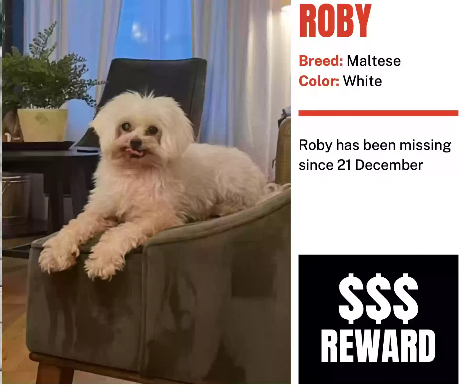 Lost dog in Gardena, CA, 90248