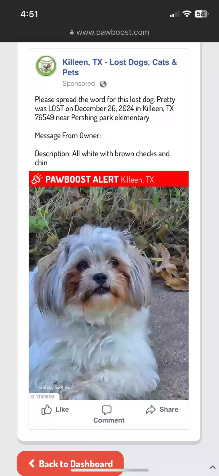 Lost dog in Killeen, TX, 76549