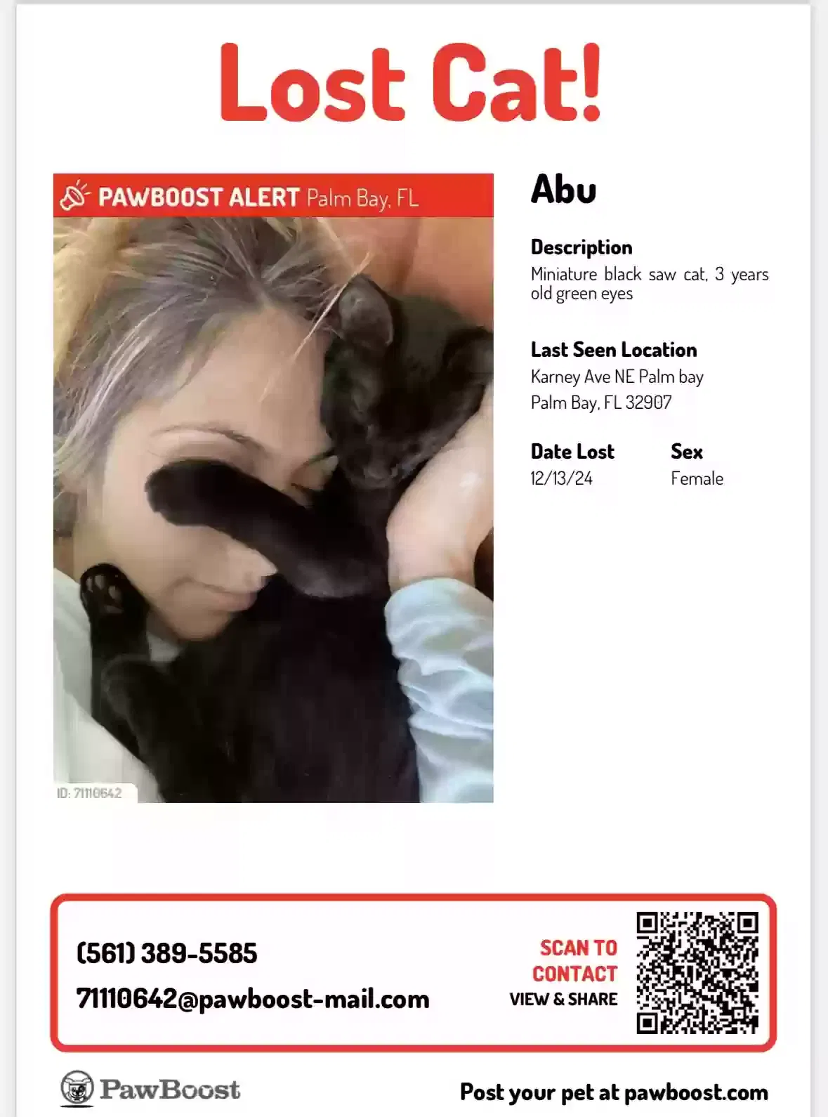 Lost cat in Palm Bay, FL, 32907