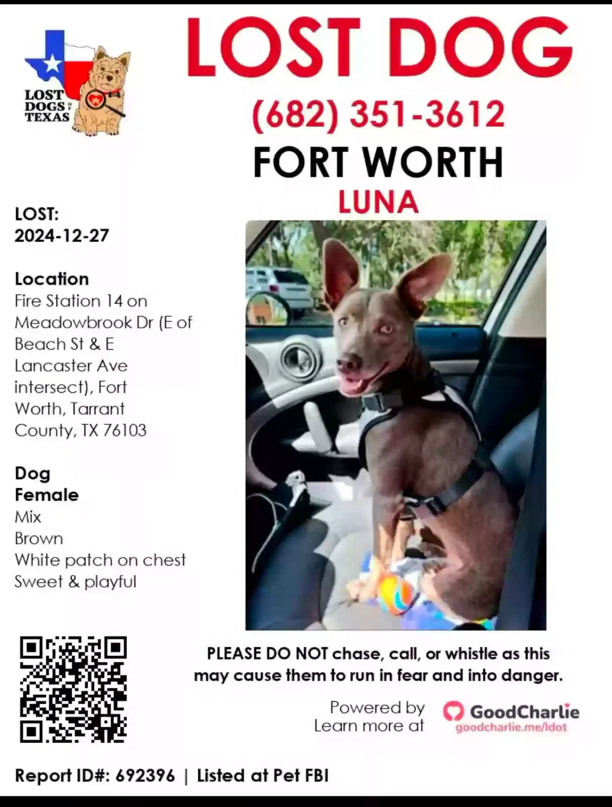 Lost dog in Fort Worth, TX, 76103