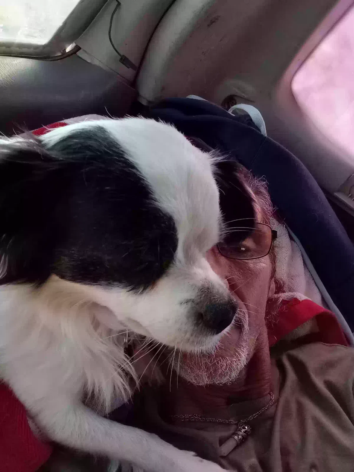 Lost dog in Unknown, KY, 42542