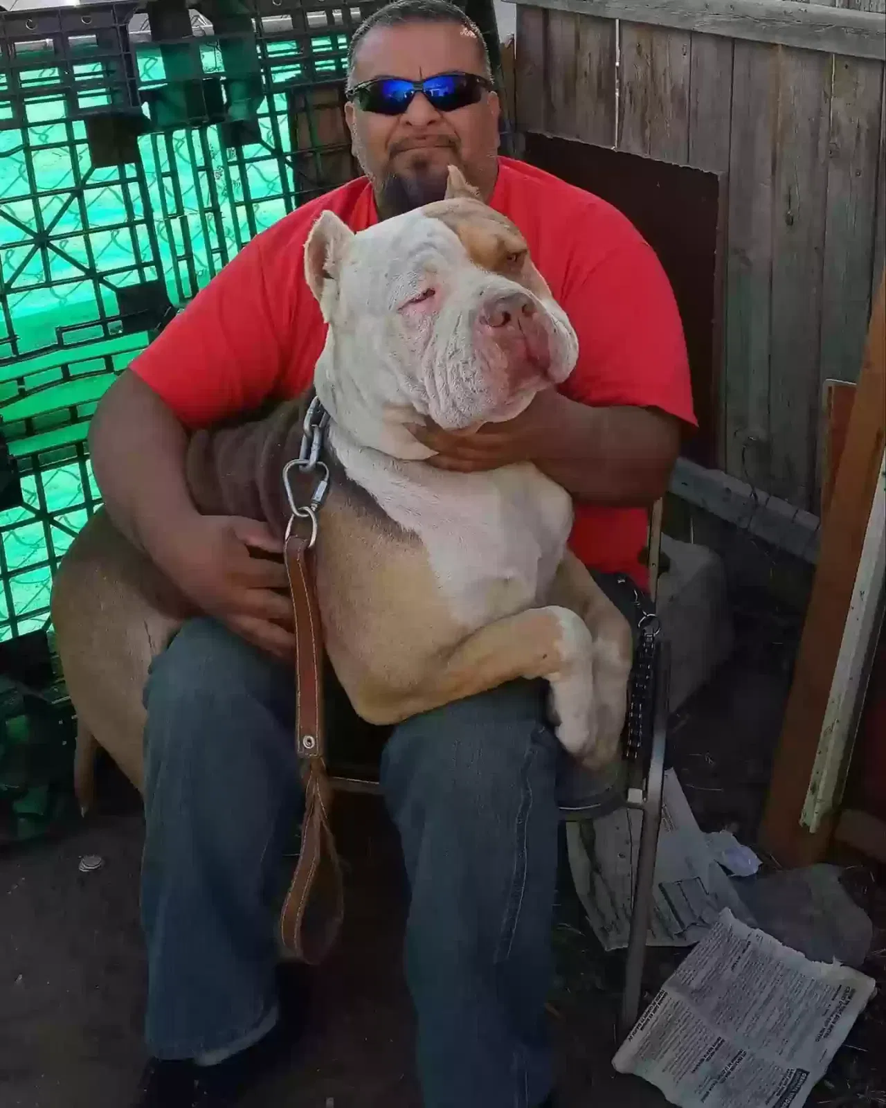 Lost dog in El Paso, TX, 79903