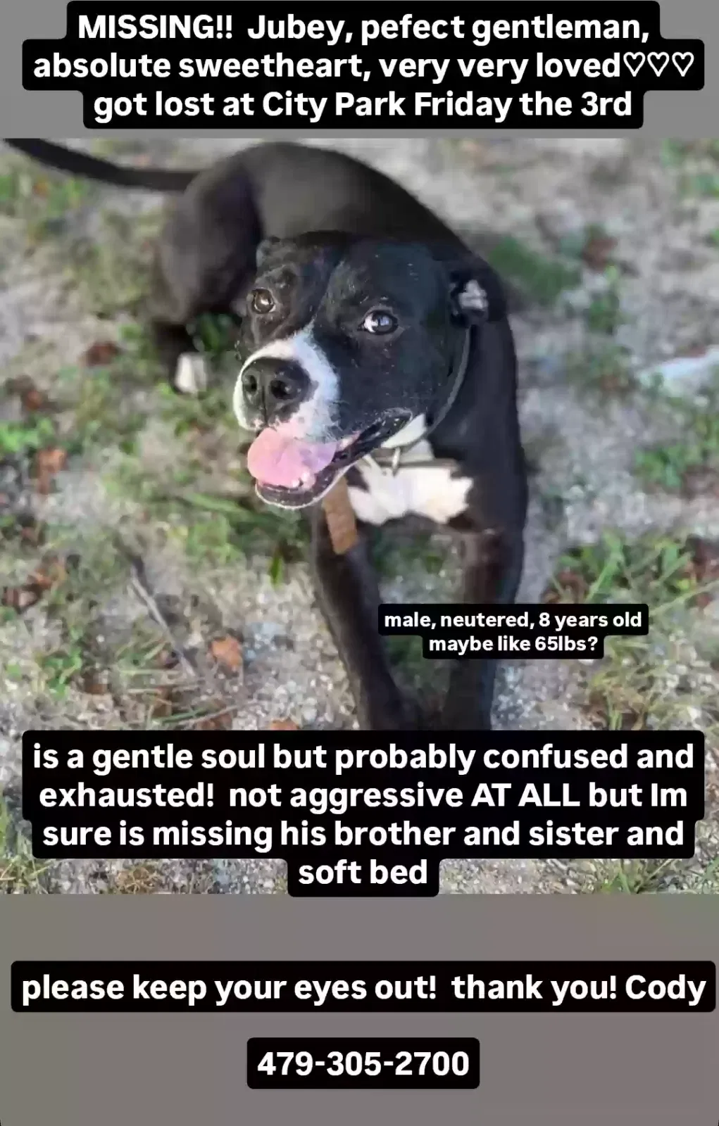 Lost dog in New Orleans, LA, 70119