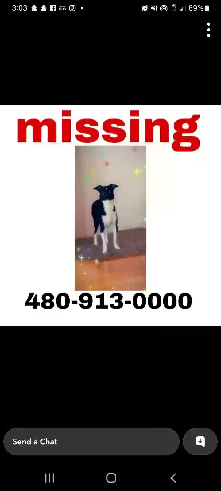 Lost dog in Phoenix, AZ, 85035