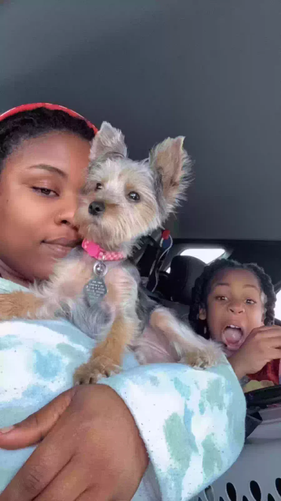 Lost dog in Tulsa, OK, 74106