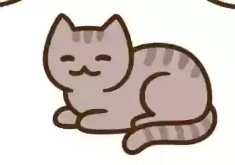 Lost cat in Hickory, NC, 28602
