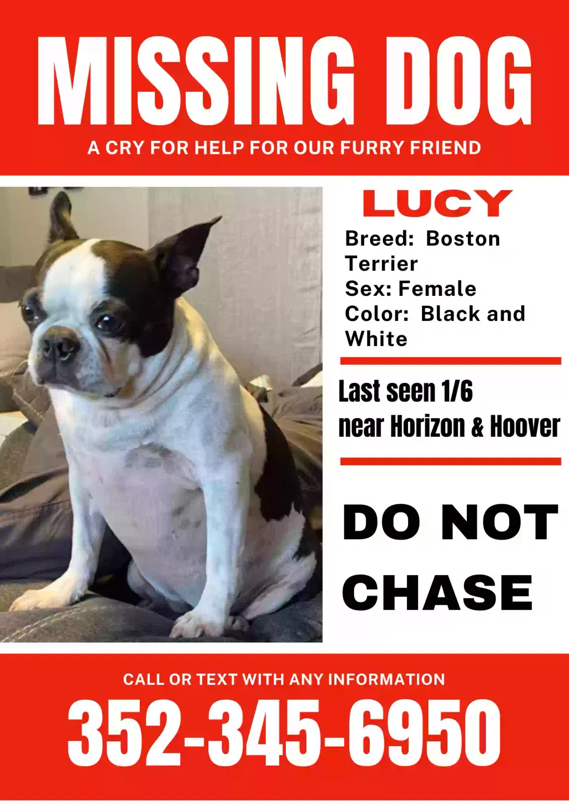 Lost dog in Spring Hill, FL, 34609