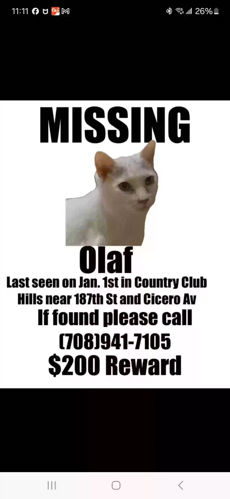 Lost cat in Country Club Hills, IL, 60478