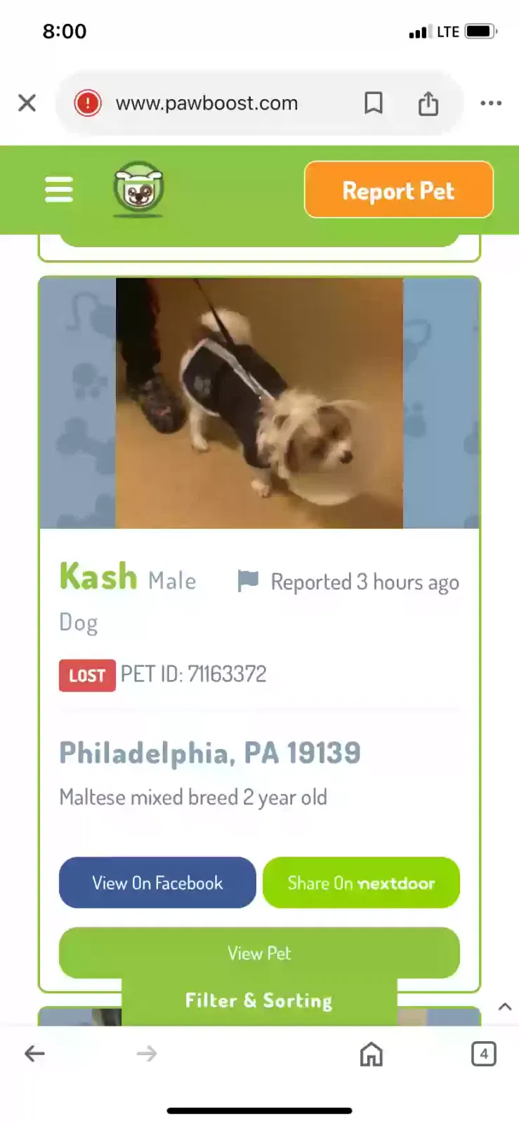 Lost dog in Philadelphia, PA, 19139